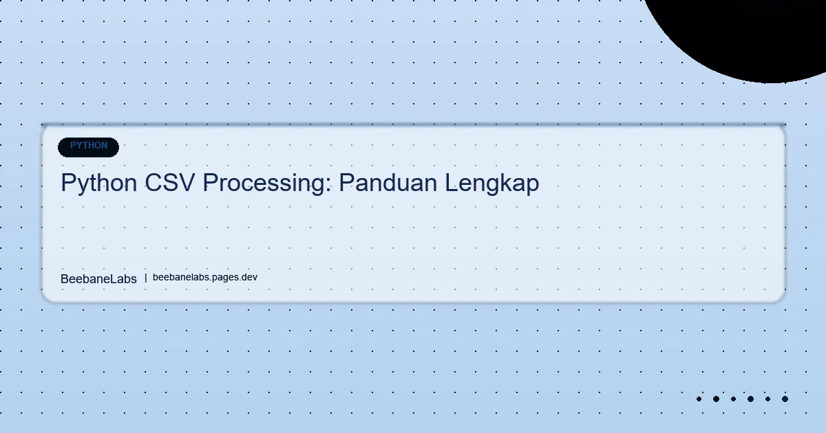 Artikel: Python Csv Processing