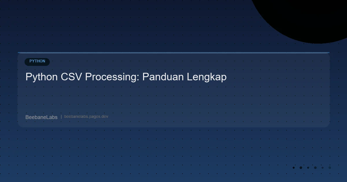 Artikel: Python Csv Processing
