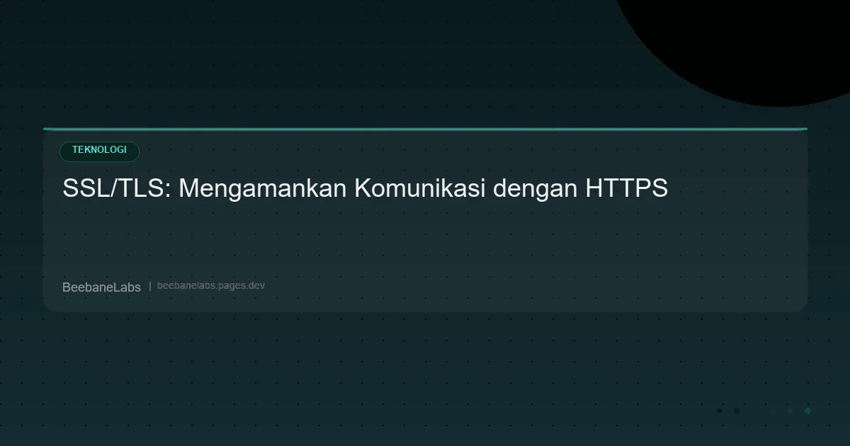 Artikel: Ssl Tls Guide